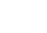 Synedica Leaf